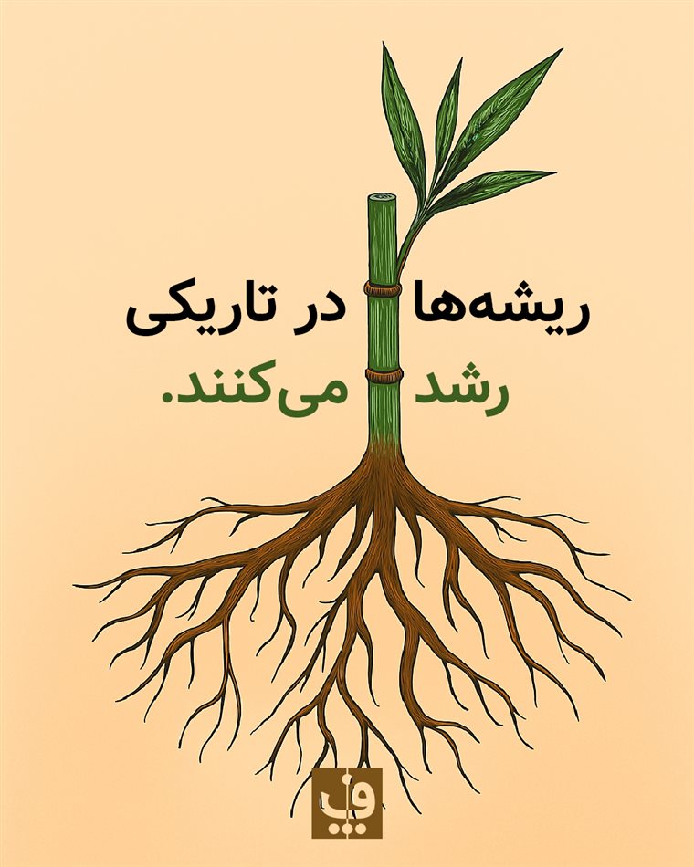 قانون ریشه‌ها