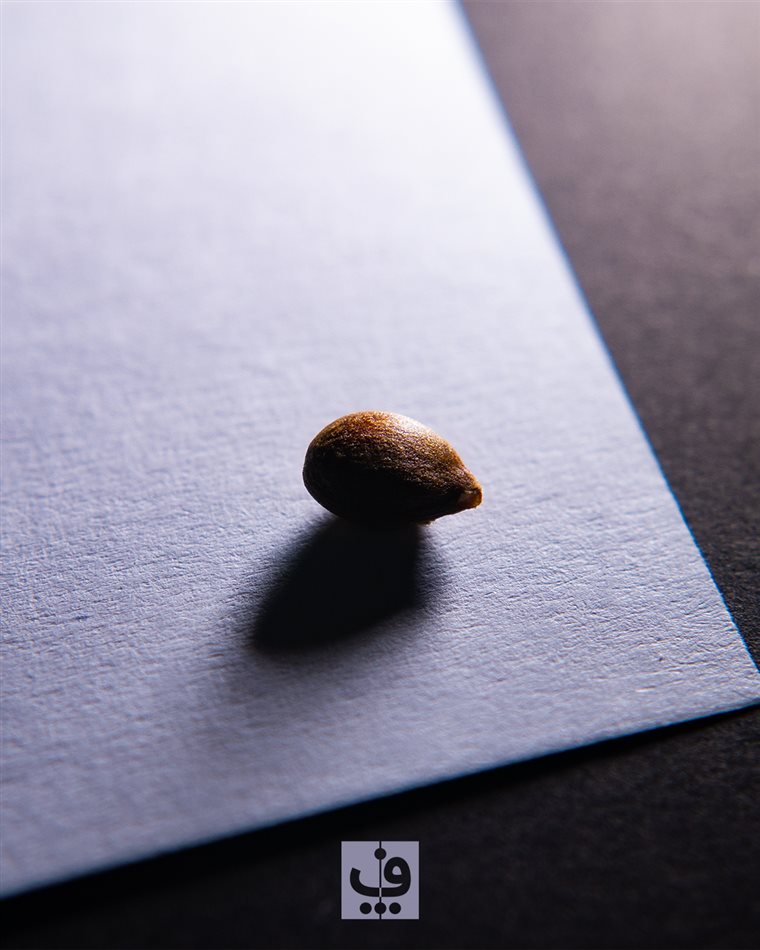 فرداپدید؛ الهام، عمل و داستان‌هایی برای آیندهٔ کسب و کار ایرانی